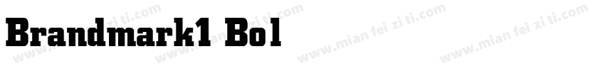 Brandmark1 Bold字体转换